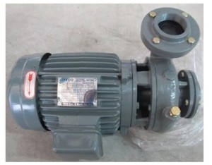 Hình ảnh máy bơm nước sử dụng động cơ Teco 2Hp